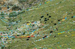 Tibet: Lhasa - Pabonka Monastery.  Above the monastery are very