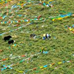 Tibet: Lhasa - Pabonka Monastery.  Pilgrims installing more prayer flags