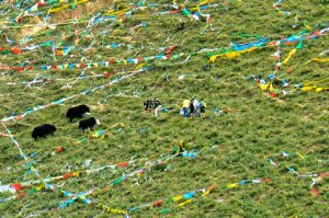 Tibet: Lhasa - Pabonka Monastery.  Pilgrims installing more prayer flags