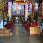 Tibet: Lhasa - Sera Monastery.   Monks chanting in