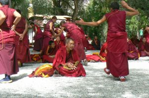 Tibet: Lhasa - Sera Monastery. Teachers are very animated with arms