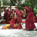 Tibet: Lhasa - Sera Monastery. Teachers are very animated with arms