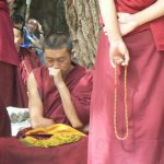 Tibet: Lhasa - Sera Monastery. Students must think thoughtfully to questions and