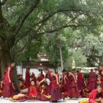 Tibet: Lhasa - Sera Monastery. Teachers are animated in their questioning.