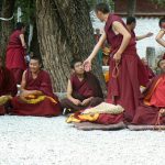 Tibet: Lhasa - Sera Monastery. The debate continues for about an