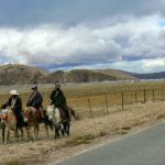 Tibet - herders use horses to track their flocks.