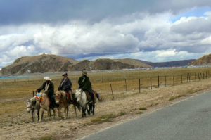 Tibet - herders use horses to track their flocks.