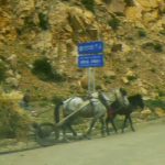 Tibet - harvesting grain in rural Tibet resembles a hundred years