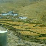 Tibet - irrigated grain fields in a valley.