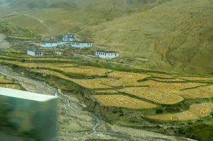 Tibet - irrigated grain fields in a valley.