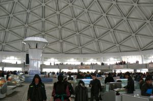 Uzbekistan - Tashkent:  ceiling of the huge Chorsu covered market.