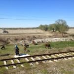 Uzbekistan: Bukhara On the train from Samarkand to Bukhara passing small rural