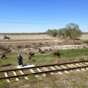 Uzbekistan: Bukhara On the train from Samarkand to Bukhara passing small rural