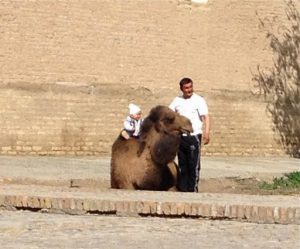 Uzbekistan: Khiva a souvenir camel is for rent for photos.