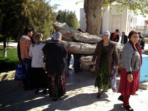 Near the Mausoleum of Bahauddin Naqshbandi there is a tree