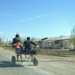 Uzbekistan: Khiva to Nukus Closer to Nukus are farm houses and