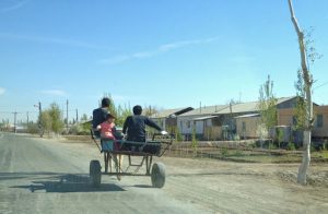 Uzbekistan: Khiva to Nukus Closer to Nukus are farm houses and