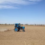 Uzbekistan: Khiva to Nukus Preparing the land for cotton plants.  In a