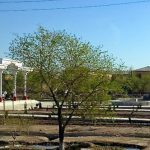 Uzbekistan: Nukus Public park.