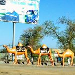 Uzbekistan: Nukus Camel statues.