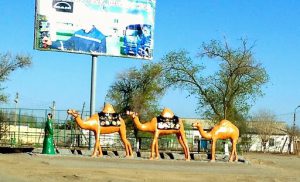 Uzbekistan: Nukus Camel statues.