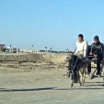 Uzbekistan: Nukus On the highway to Nukus are a variety of