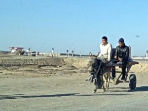 Uzbekistan: Nukus On the highway to Nukus are a variety of