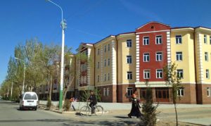 Uzbekistan: Moynaq Modern apartments.