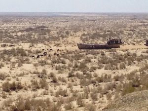 Uzbekistan: Muynak Aral Sea dry ????bed rusting boats.