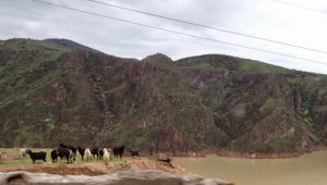 Uzbekistan: drive from Tashkent to Andijan in the ????Fergana Valley. Ascending