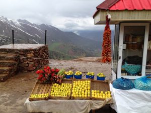 Uzbekistan: drive from Tashkent to Andijan in the ????Fergana Valley. A