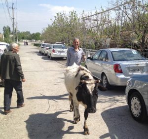 Uzbekistan: Fergana Valley, Rishton Meanwhile the old lifestyle continues on the