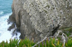 Portugal, Sagres Town: fishermen on steep cliff