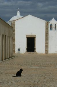 Portugal, Sagres Town: Sagres Fort; small chapel and local cat