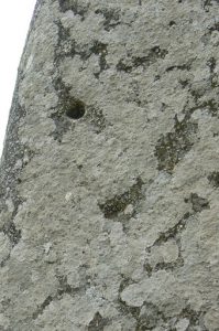 Portugal, Evora: lichen on a stone