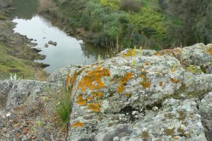 Portugal, Mertola: colorful view over the river