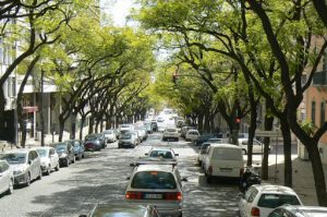 Portugal, Lisbon: shady residential street