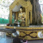 Burma, Rangoon; Shwedagon Pagoda; monk meditating at a shrine