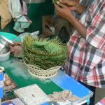 Burma, Rangoon: making grass items (?)
