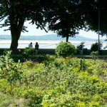 Burma, Mandalay: Ayeyarwady River view from a park