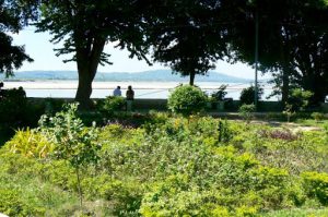 Burma, Mandalay: Ayeyarwady River view from a park