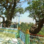 Burma: Mandalay: Sagaing Hill;  terrace and trees at Pon