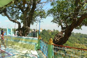 Burma: Mandalay: Sagaing Hill;  terrace and trees at Pon