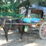 Burma, Mandalay: Ava (or Inwa) is a few miles south