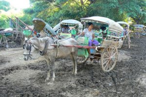 Burma, Mandalay: Ava (or Inwa); the road is quite muddy in