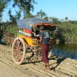Burma, Mandalay: Ava (or Inwa); the carts are old and rickety