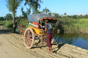 Burma, Mandalay: Ava (or Inwa); the carts are old and rickety