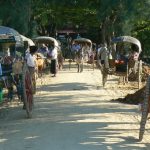 Burma, Mandalay: Ava (or Inwa); most of the tourist exploring