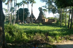 Burma, Mandalay: Ava (or Inwa); rice fields along the way to