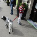 Italy, Trieste city center; gelateria customer